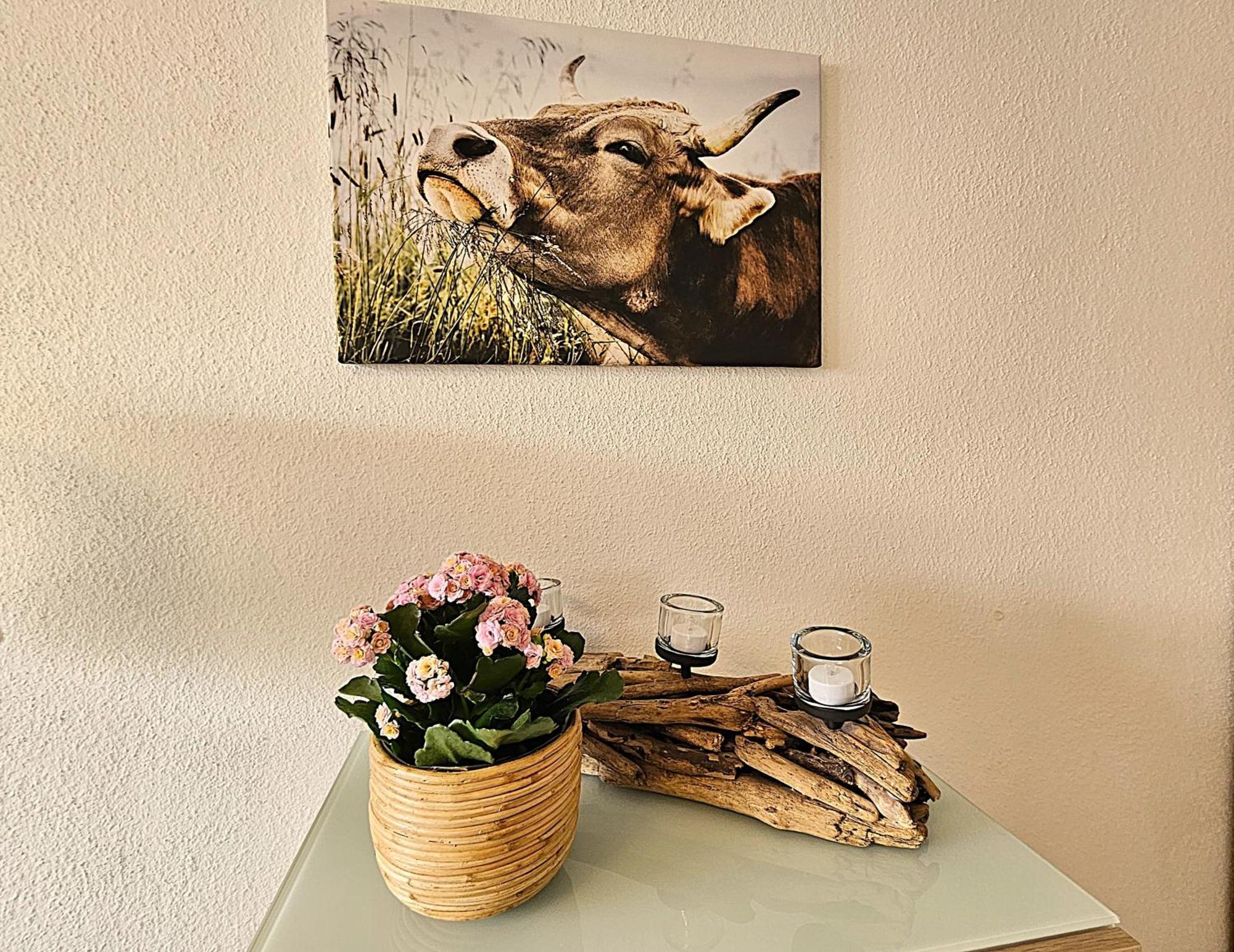 Ferienwohnung Almwiese オーベルストドルフ エクステリア 写真